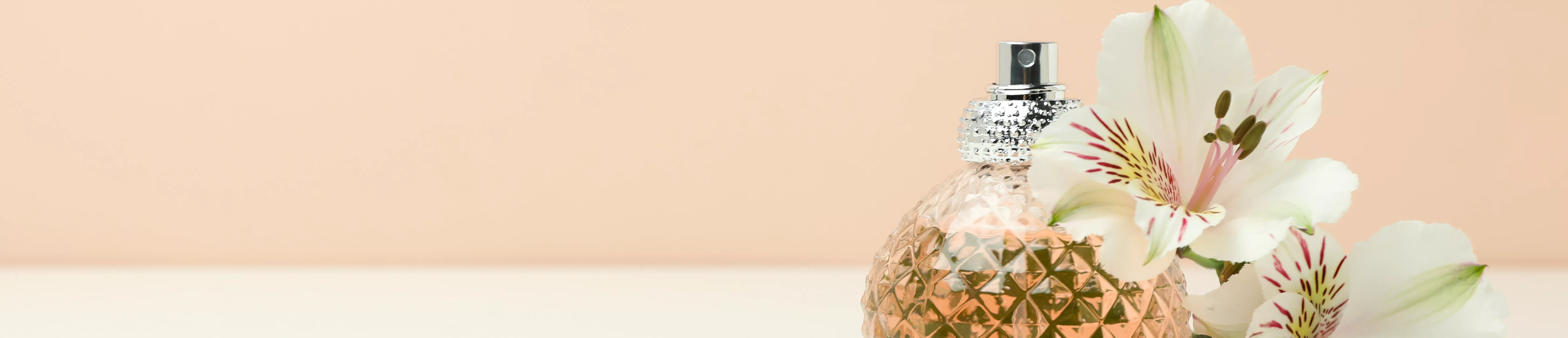 Rodič klona (kopie)